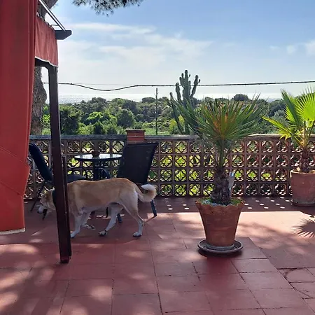 Garden At Casa Madden Apartment Marbella